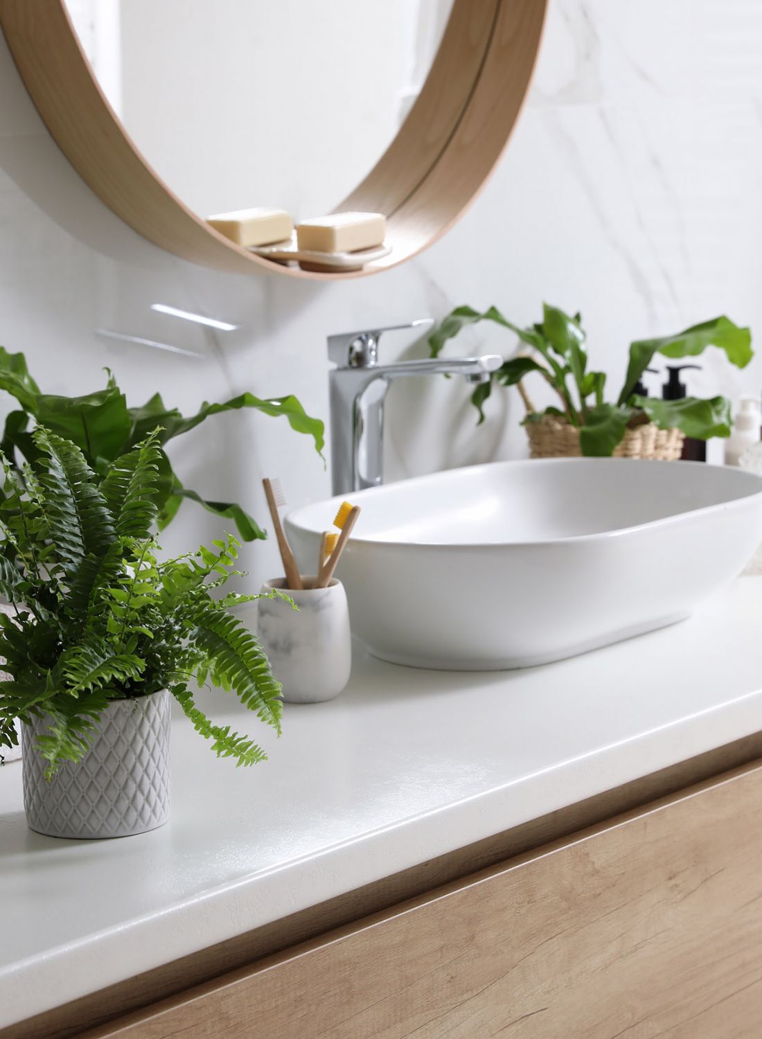 Beautiful green ferns and toiletries on countertop in bathroom